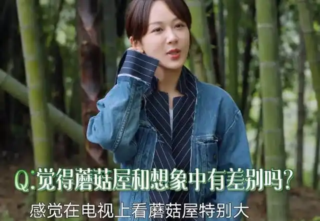 《向往的生活 5》热播,杨紫从古灵精怪的"小雪"化身为知心姐姐