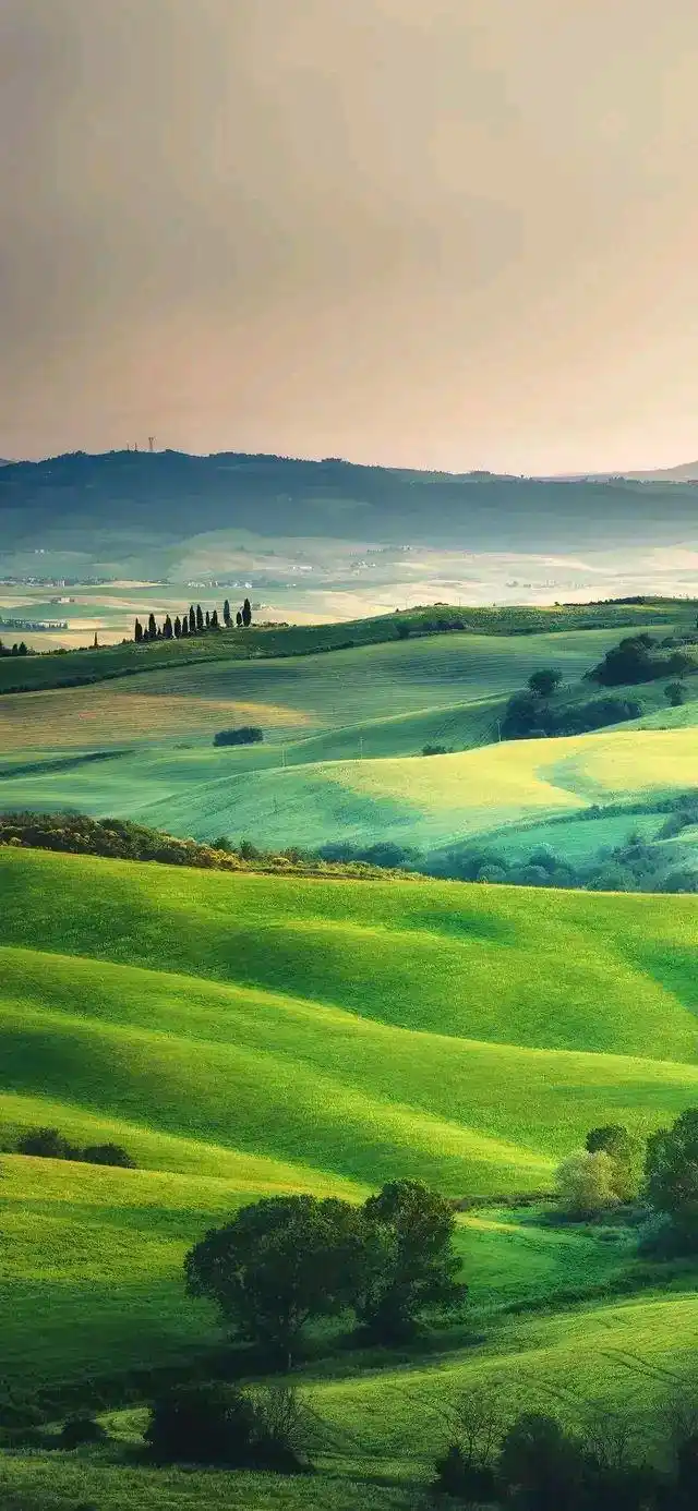 3.11全面屏高清手机壁纸