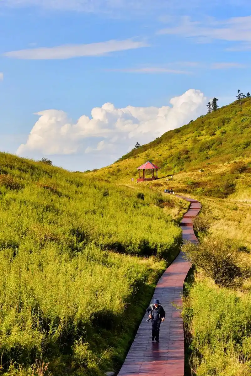 紫柏仙山,草坦连天!与众不同的紫柏仙山,有连绵起伏的高山草甸 - 抖音