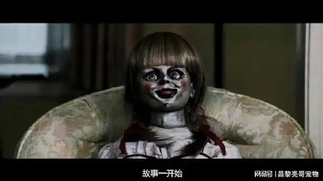 招魂系列之安娜贝尔十大恐怖鬼娃娃之首果然名不虚传