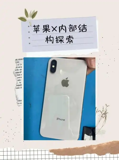 苹果x内部结构双层版