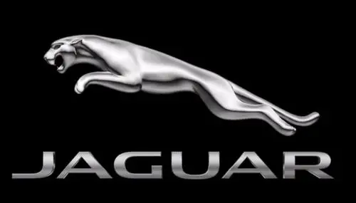 车子豹子标志是什么车一文解说豹子车标的车品牌