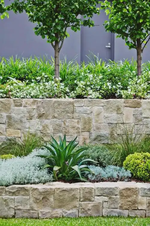 靠墙边的绿植景观太美了|植物|庭院|陪衬|花池_网易订阅