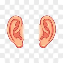 耳朵卡通
