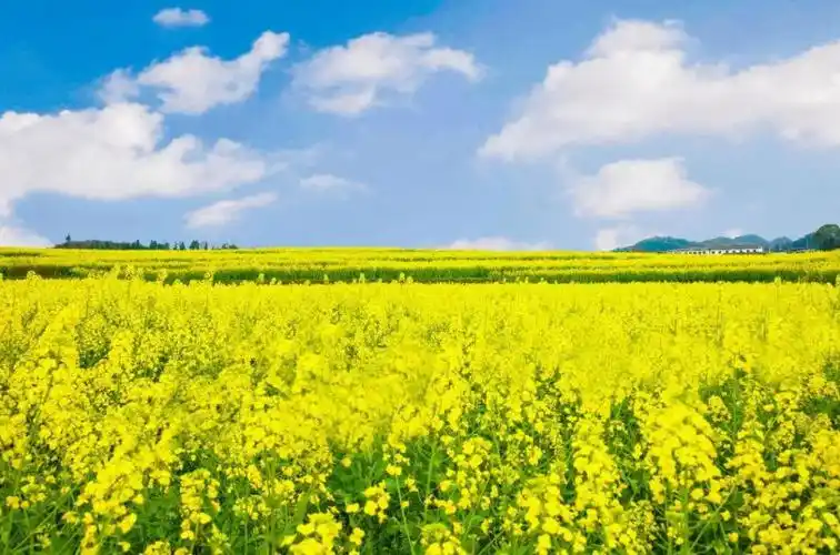 一夜"入冬",美景依然在线!贵州这些地方足以撩动你心~