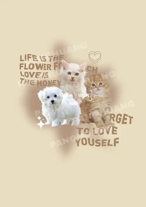 韩风可爱宠物图案