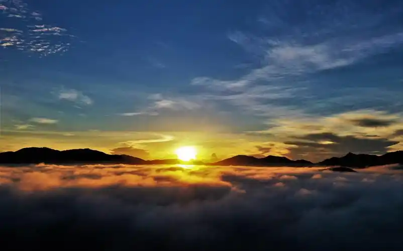 《2020年的留影》