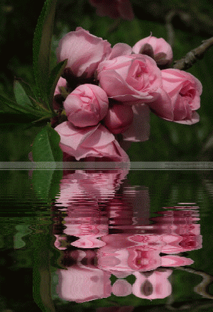 300_440竖版 竖屏gif 动态图 动图