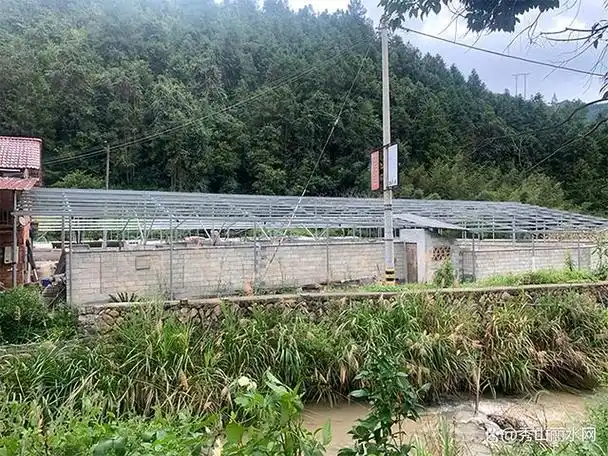 松阳县玉岩镇:多措并举 "三治一提升"行动快 见实效