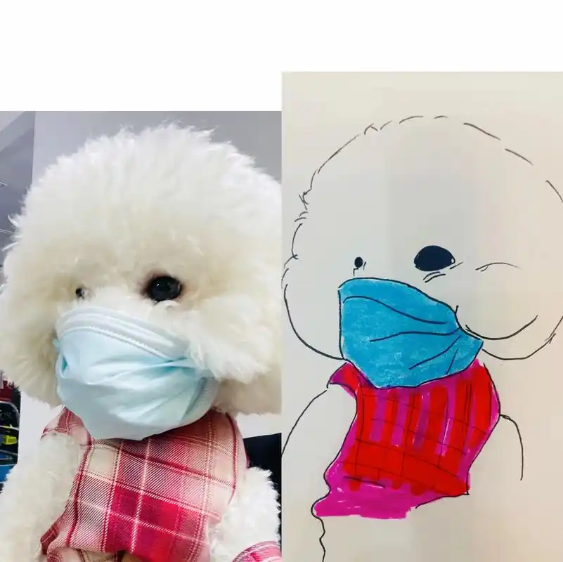 戴口罩的小狗狗简笔画合集