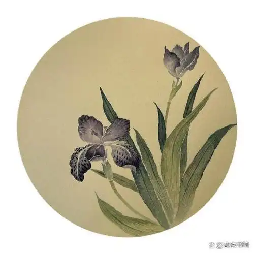 宏茹老师的没骨花卉:格调淡雅脱俗,富有艺术生命力