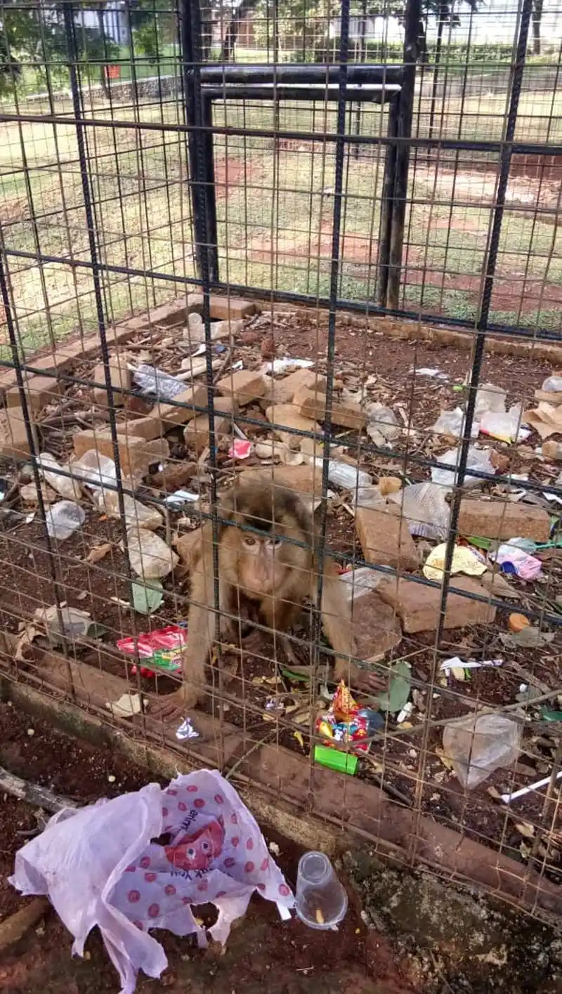 史上最恶心的动物园环境差到令人发指