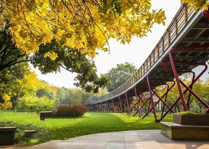 拍出秋天美丽的色彩