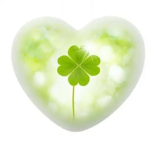 悠悠幸运草 脉脉阳光情 ——永春县最美教师郑晓芸的故事(撰文:李亚真