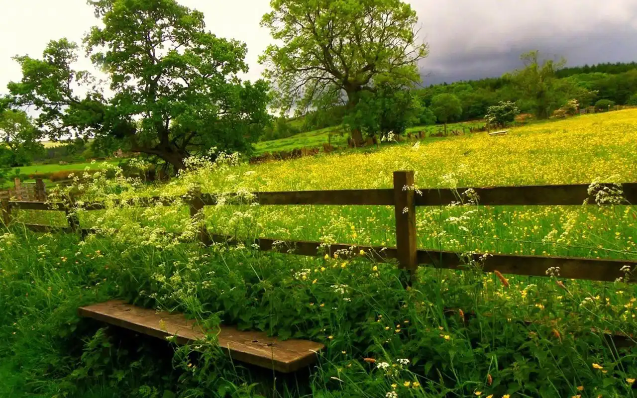 绿色护眼田园美景图片电脑壁纸高清大图预览1920x1200_风景壁纸下载