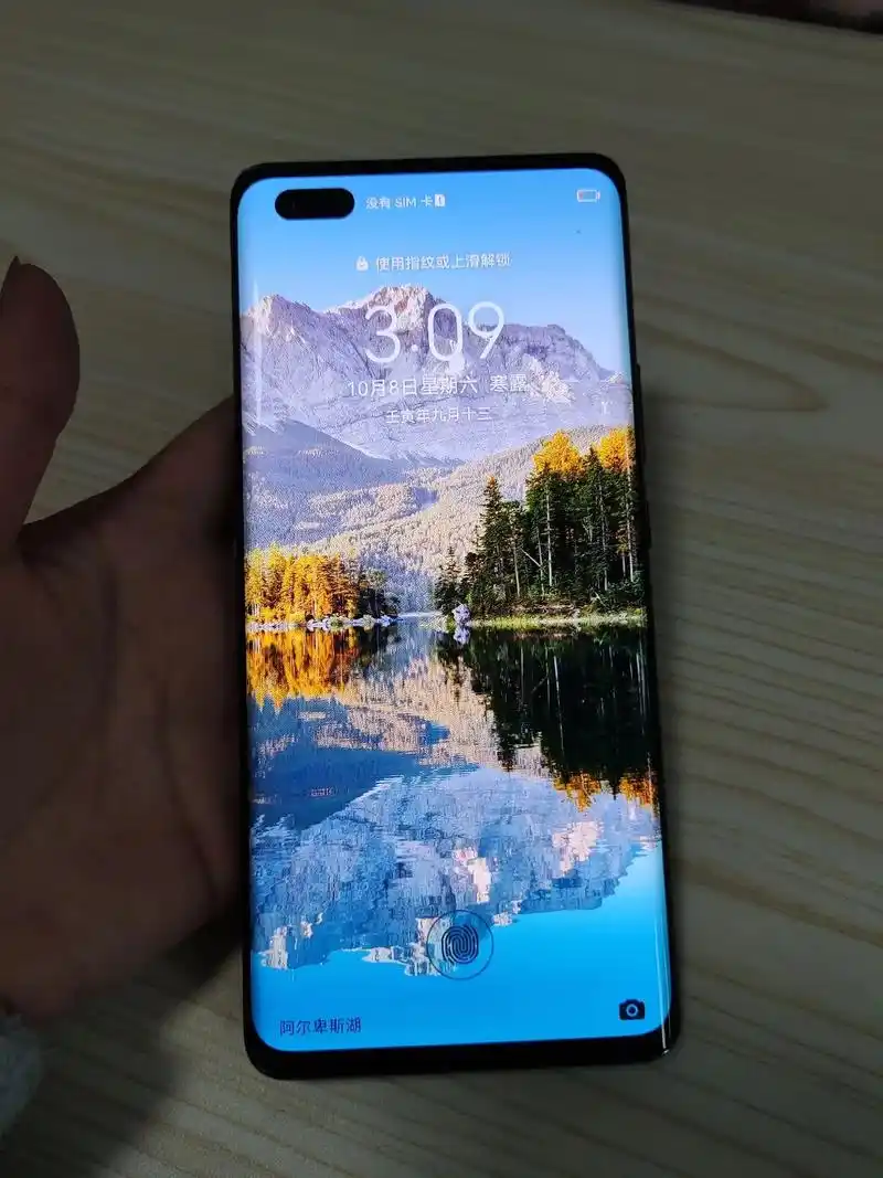 华为荣耀30 pro 5g版