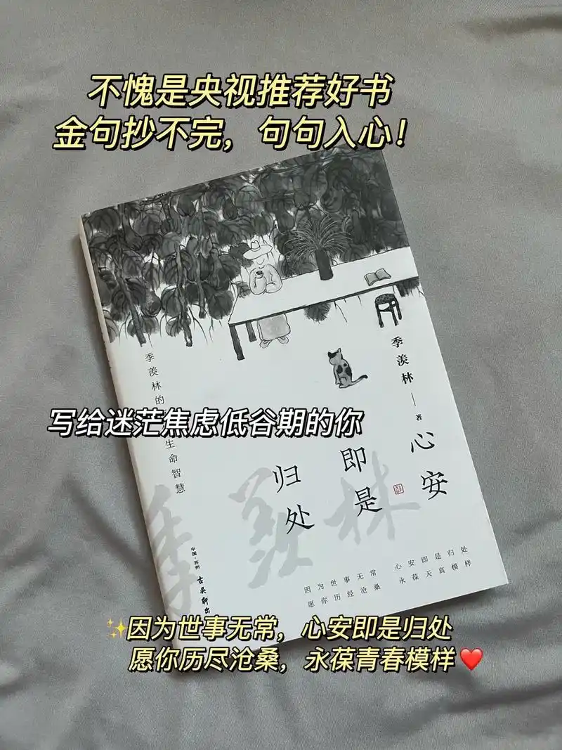 不愧是央视推荐的好书!#好书分享 #读书  92书名:《心安 - 抖音