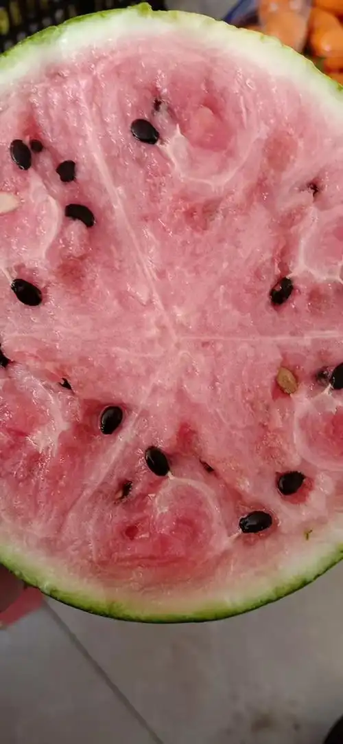 麒麟西瓜(粉色果肉)4--5斤