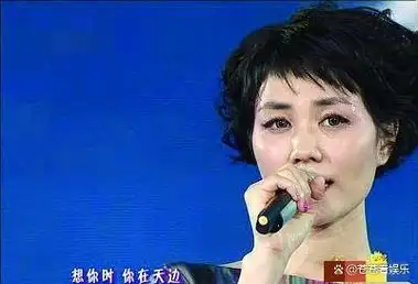 李健31岁娶青梅竹马没车没房丁克19年他们真的幸福吗