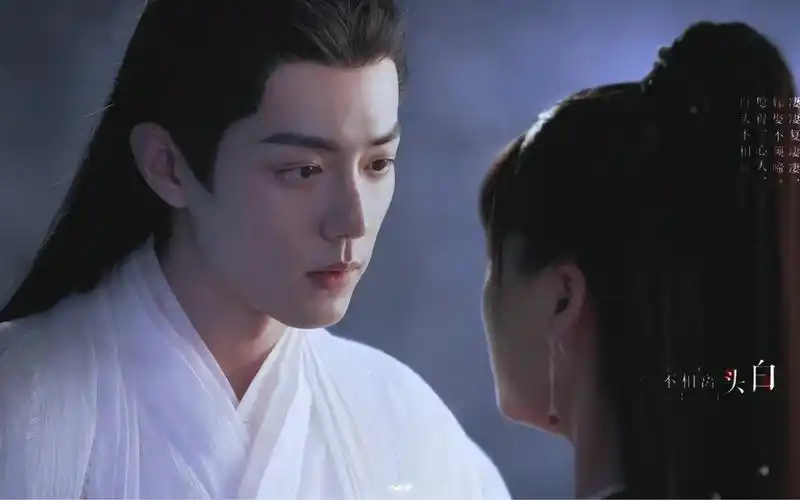 愿得一心人 白首不相离 · 肖战 x 时影