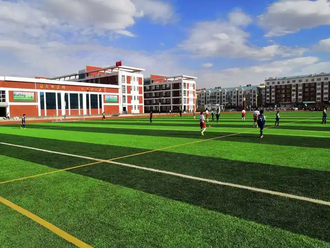 2019年呼伦贝尔市"市长杯"校园足球三级联赛小学男子组比赛 - 美篇