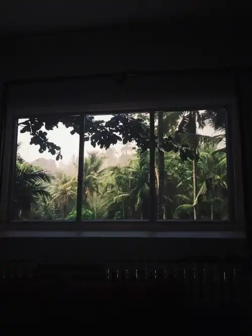 各种各样的投影窗户