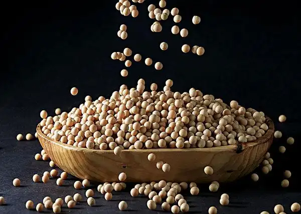 黄豆大豆图片_图片大全