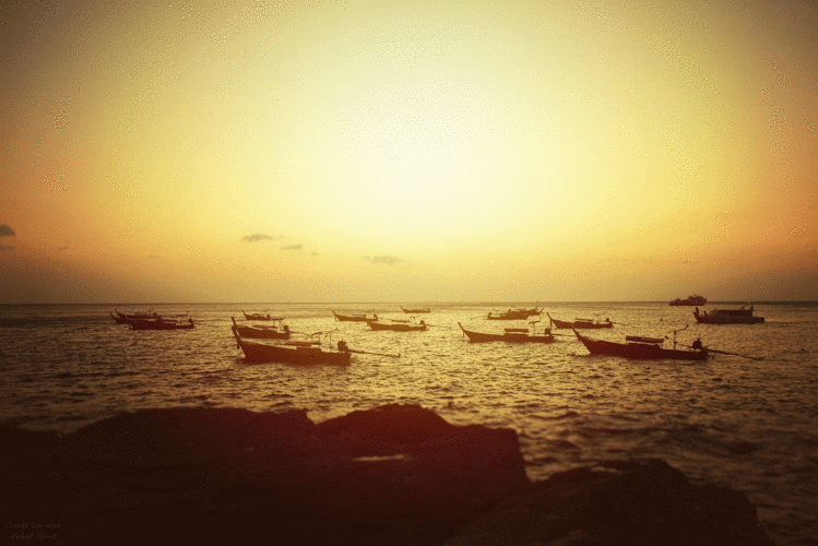 2944_1965gif 动态图 动图