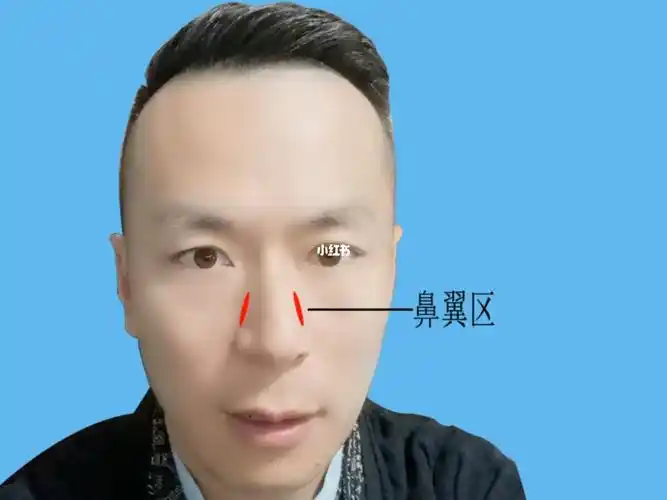 人体穴位鼻翼区