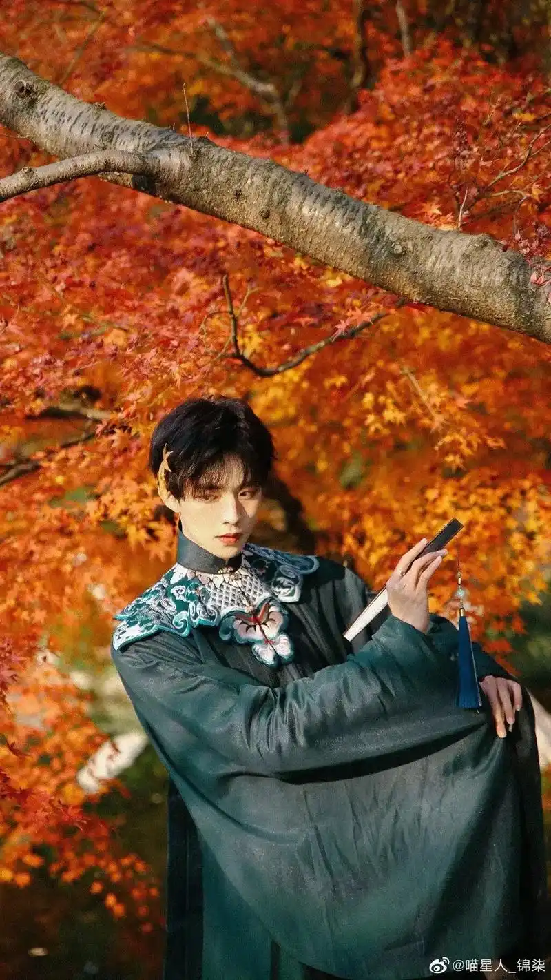 一定是少年太过惊艳,才会令人念念不忘.#妖扬#王敬轩 #国风 - 抖音