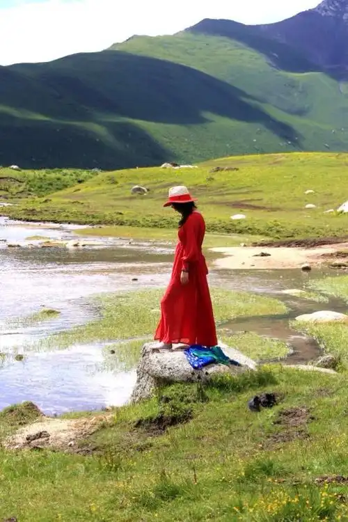 身影,飘荡在青藏高原