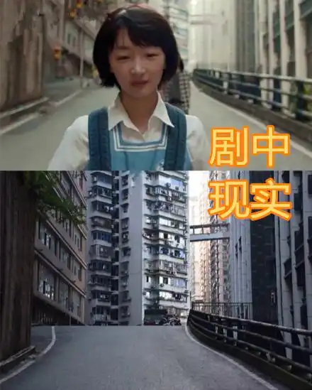 《少年的你》取景地,天桥上学路没啥,看到"两棵树":立马买票