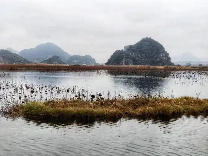 就这样吧这是它此刻的模样