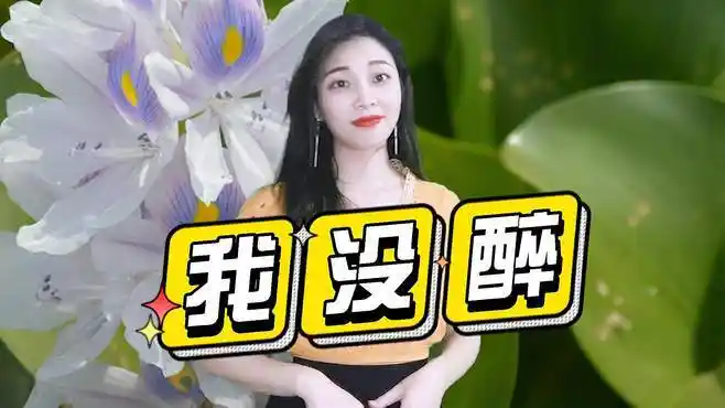 黎亚怀旧金曲《我没醉》,歌声动人心弦,响彻四方