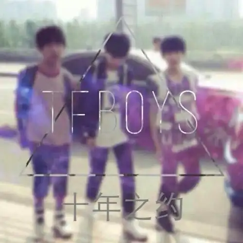 p>《四叶约定》是少年组合tfboys的粉丝"四叶草"乌梅与其朋友合作