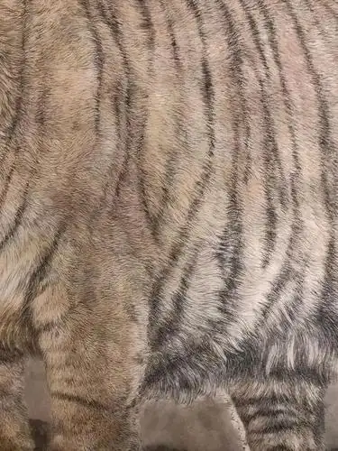 曹俊的二零二零|中国艺术家|丁绍光|书画|画家_网易订阅