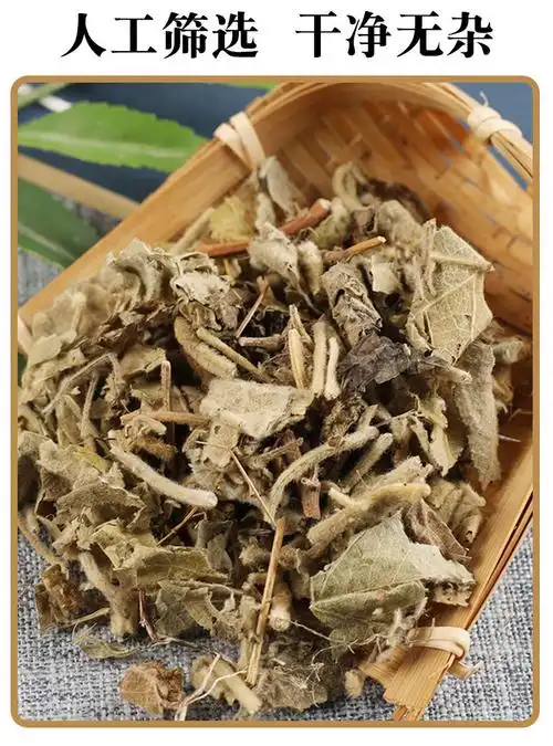 寻骨风中药材 清骨风 猫耳朵 白面风 寻骨风根