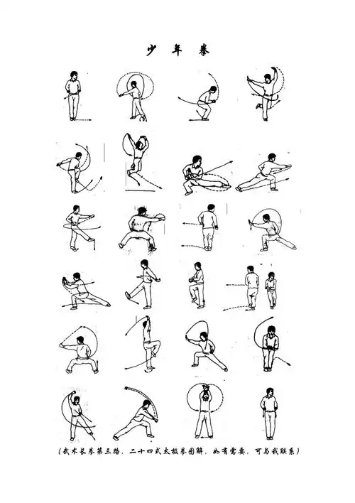 中考五步拳标准图解