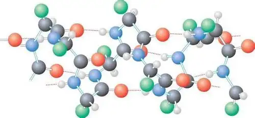 什么是蛋白质?蛋白质的作用?