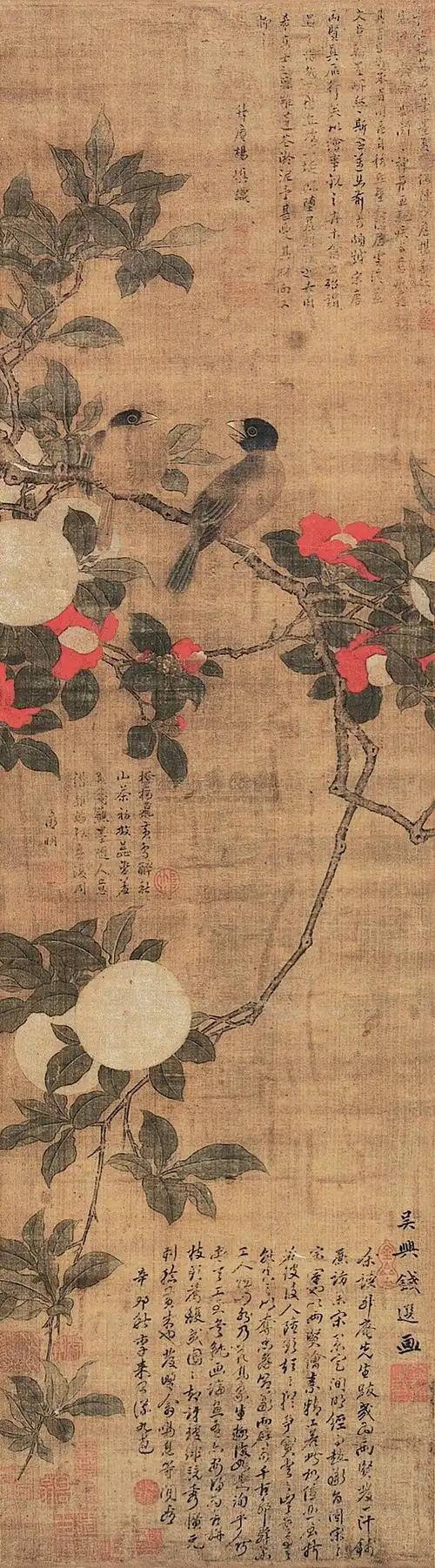 钱选(款) 花鸟 立轴