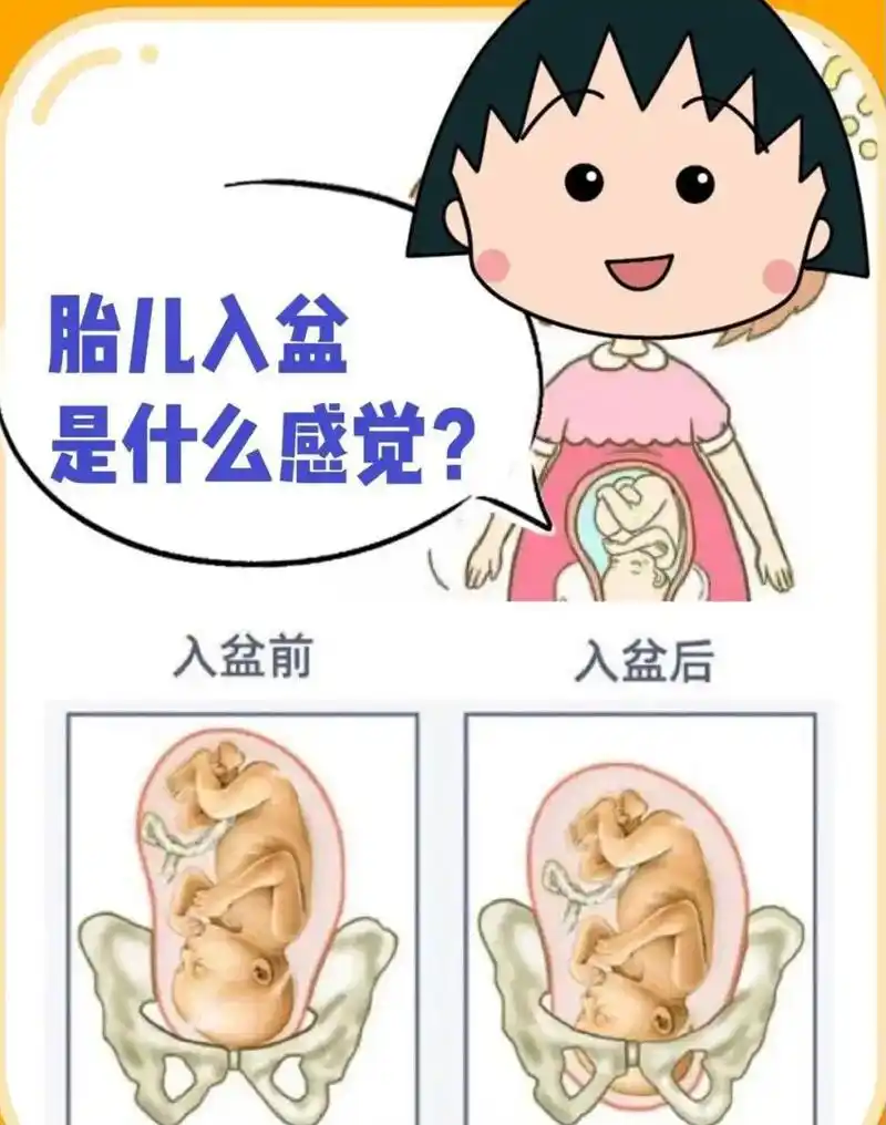 孕36771  目前宝宝已入盆(浅入盆)有假性宫缩  不频繁  - 抖音