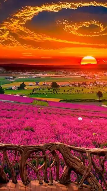 什么样的心情会喜欢这样的风景