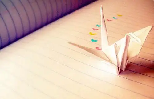 唯美彩色千纸鹤的思念