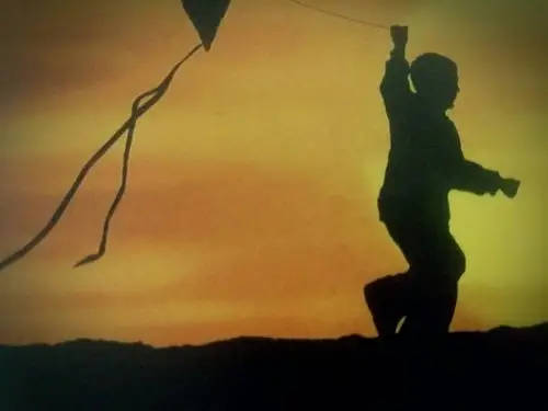 《追风筝的人》