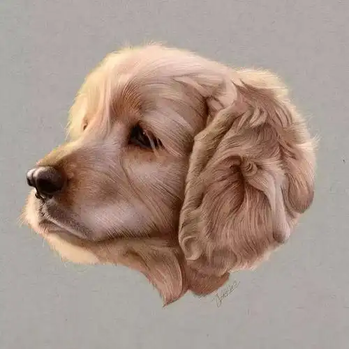 他用彩铅画出最写实的萌物人家的手是天使吻的我的是被狗啃的