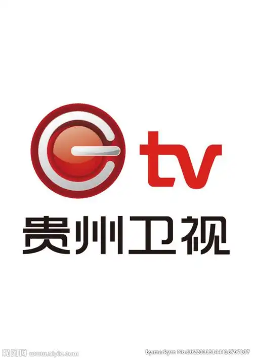 贵州卫视设计图__其他图标_标志图标_设计图库_昵图网nipic.com