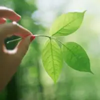 qq头像绿色意境美好看意境很优美的绿色系qq头像