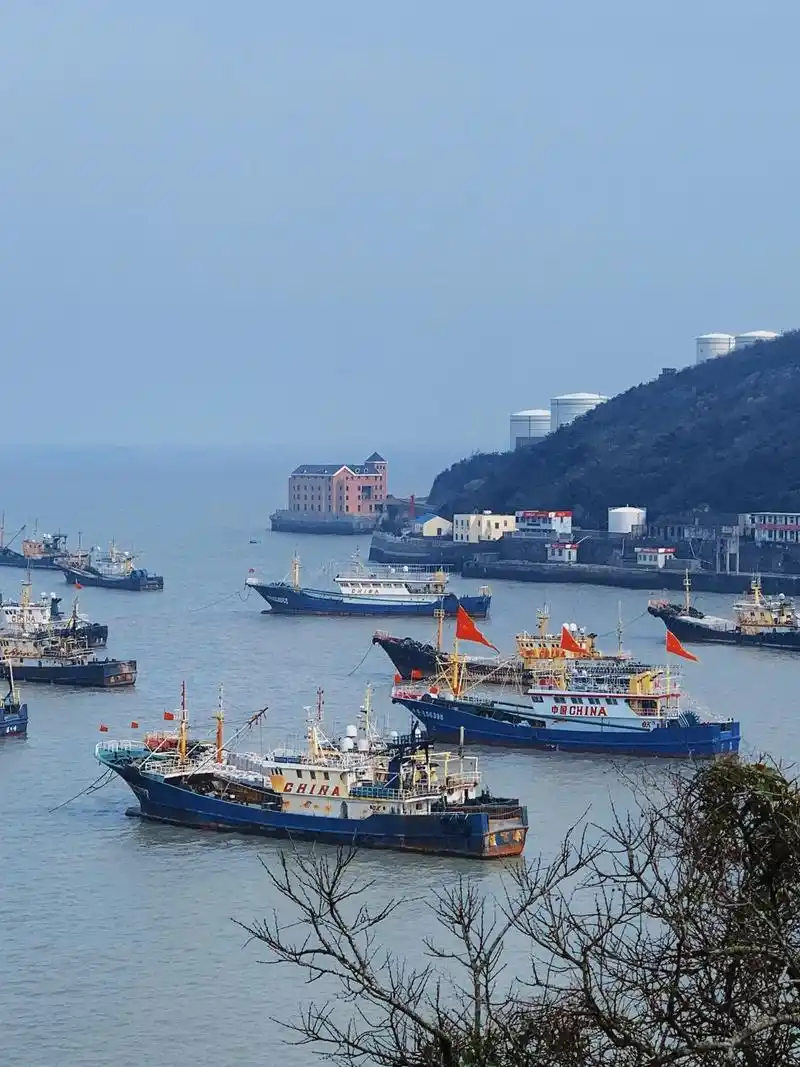 温岭石塘海岸线单线(金沙滩—滨海绿道—珍珠 - 抖音