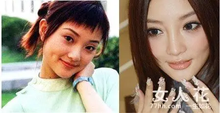 李小璐对比照