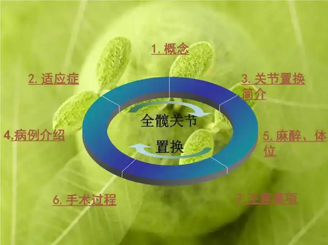 人工全髋关节置换术ppt